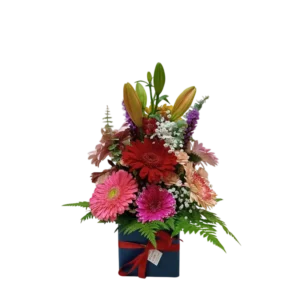 Caja gerberas lilium